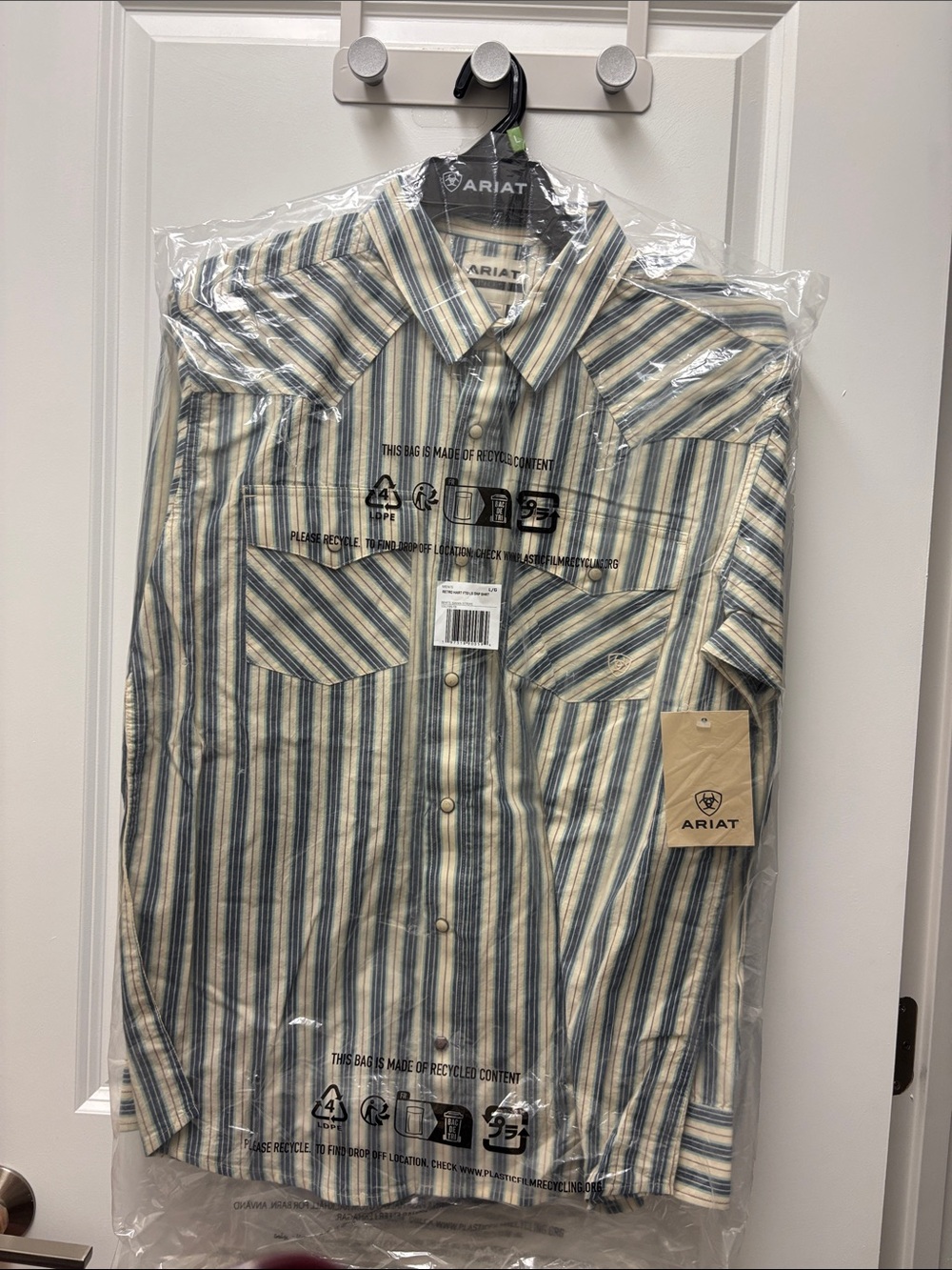 Ariat Men's Blue and Cream Striped Western Button-Down Shirt